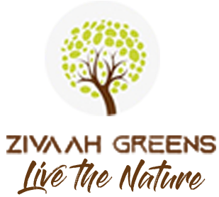 Zivaahgreens Logo